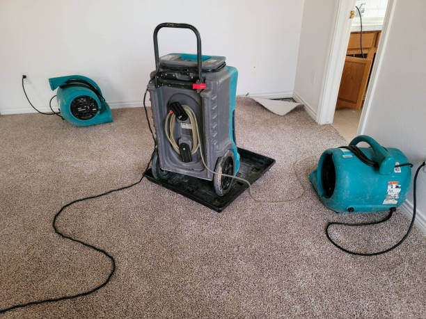 Best Water damage restoration near me  in Falling Water, TN