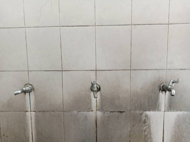 Best Water damage repair service  in Falling Water, TN