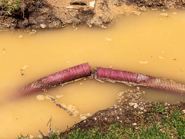 Best Water damage contractors near me  in Falling Water, TN