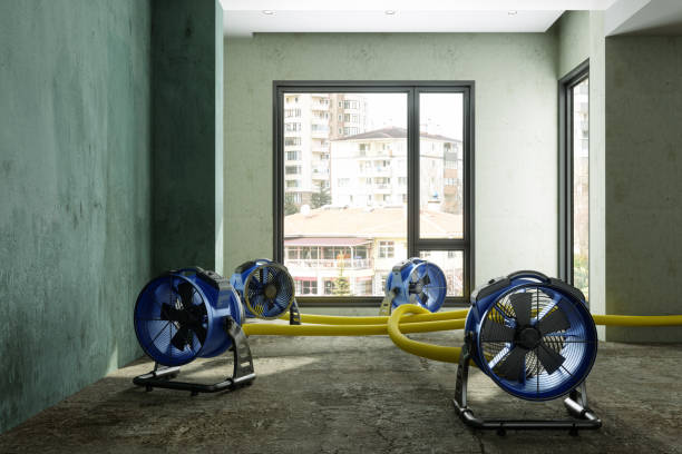 Trusted Falling Water, TN Water damage restoration Experts
