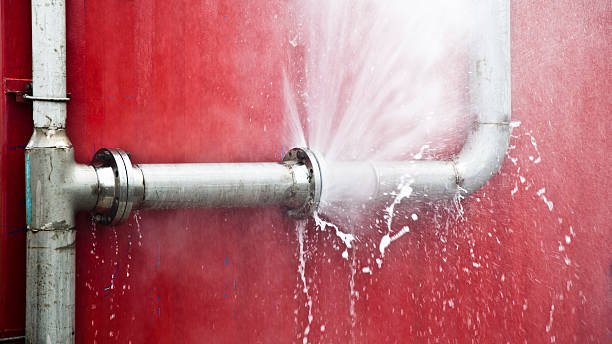 Best Sewage cleanup and water damage restoration  in Falling Water, TN